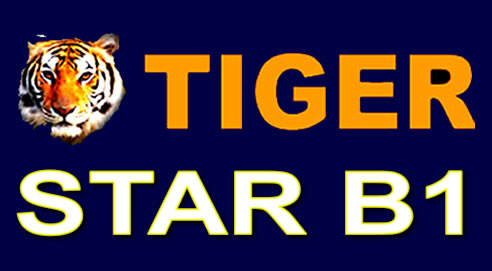  TIGER STAR B1